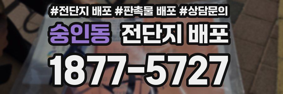 숭인동 전단지 배포