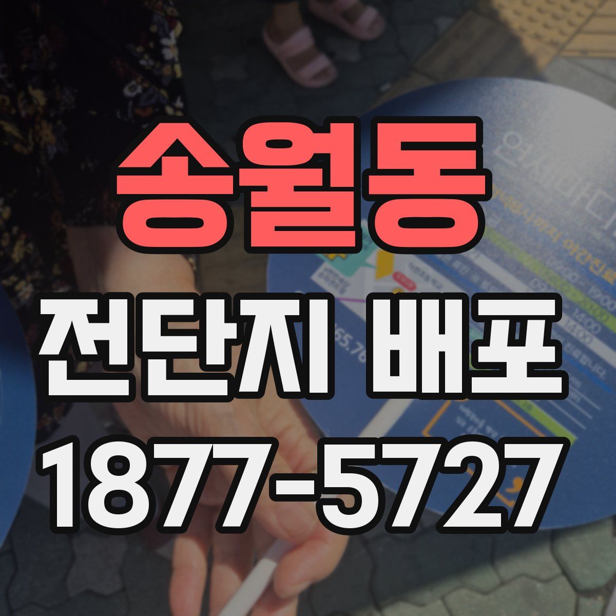 송월동 전단지 배포