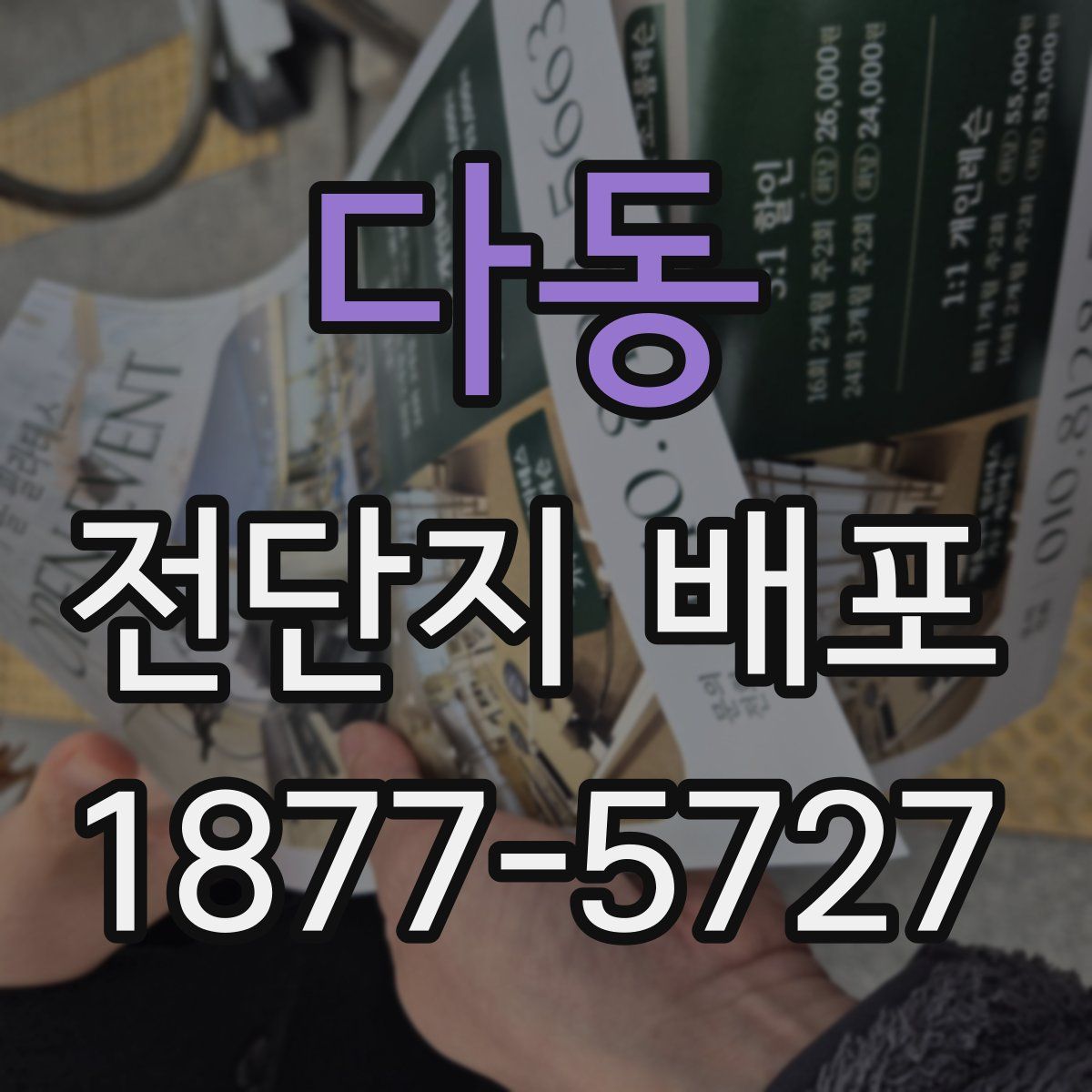 다동 전단지 배포