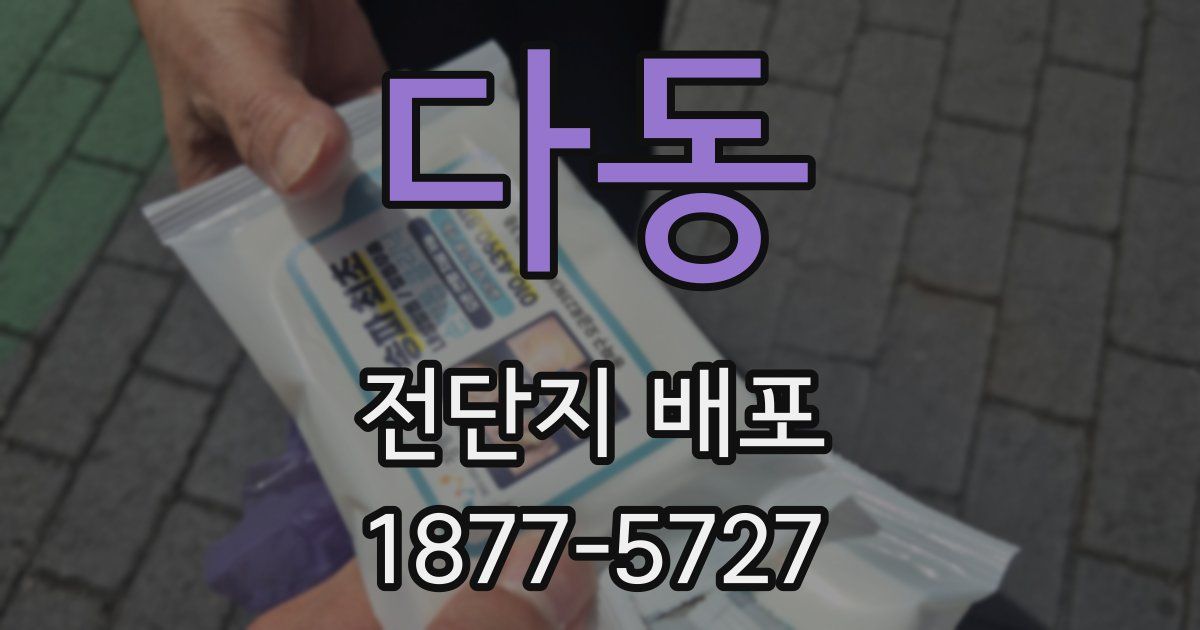 다동 전단지 배포