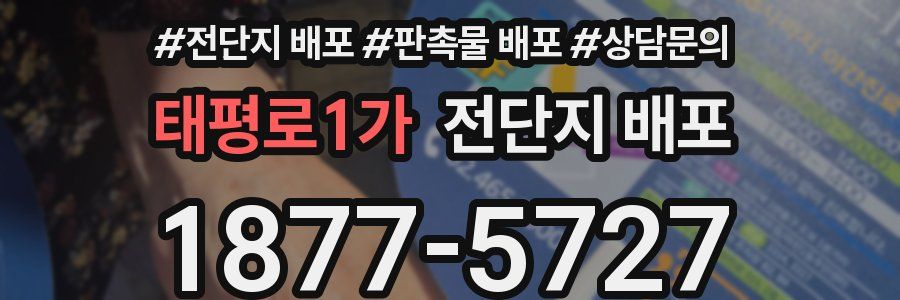 태평로1가 전단지 배포
