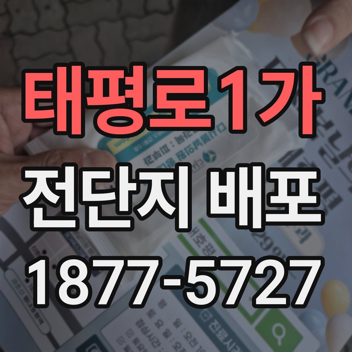 태평로1가 전단지 배포