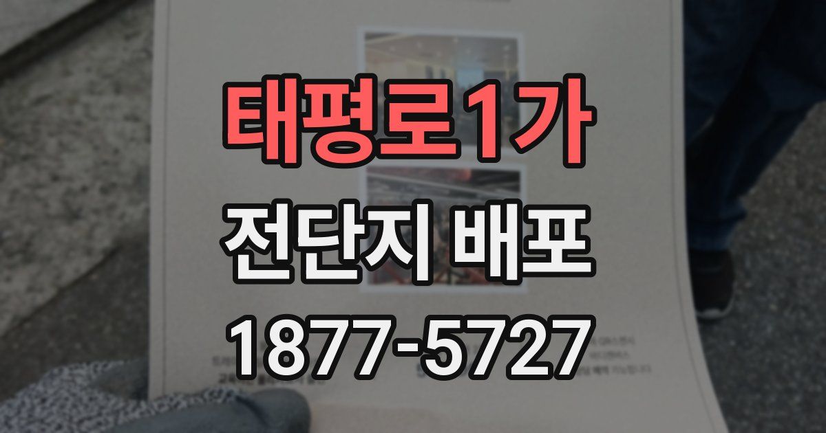 태평로1가 전단지 배포