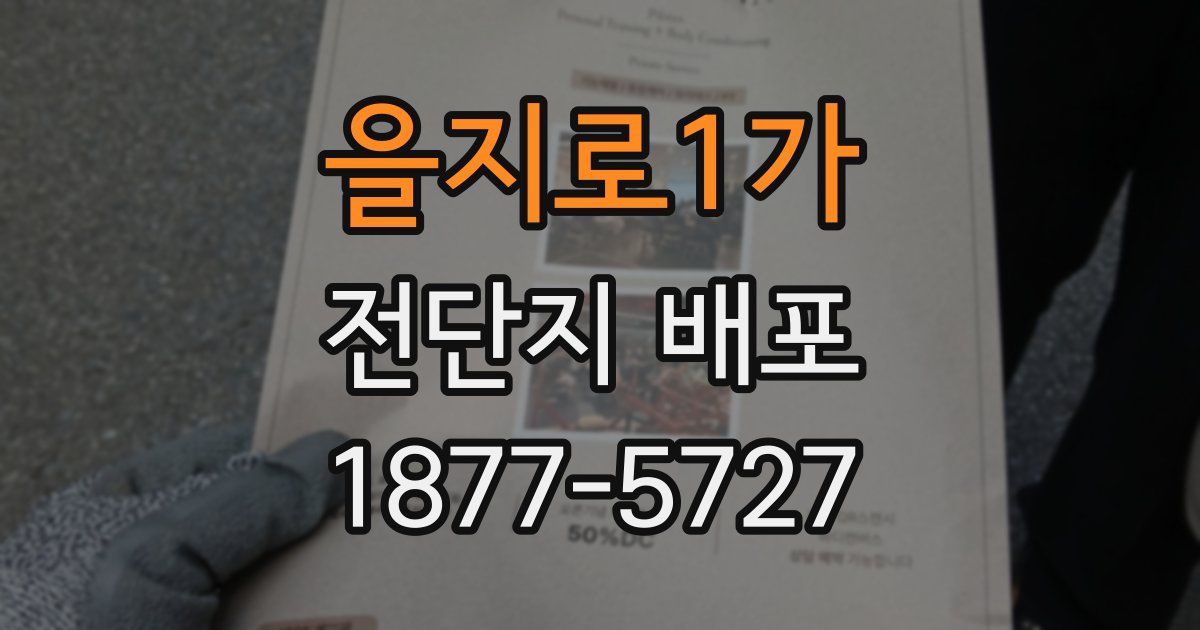 을지로1가 전단지 배포