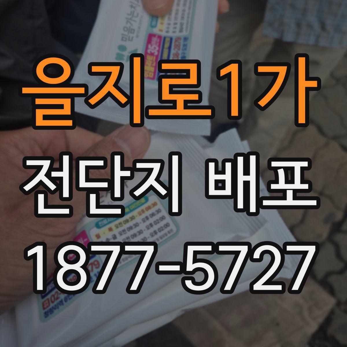 을지로1가 전단지 배포
