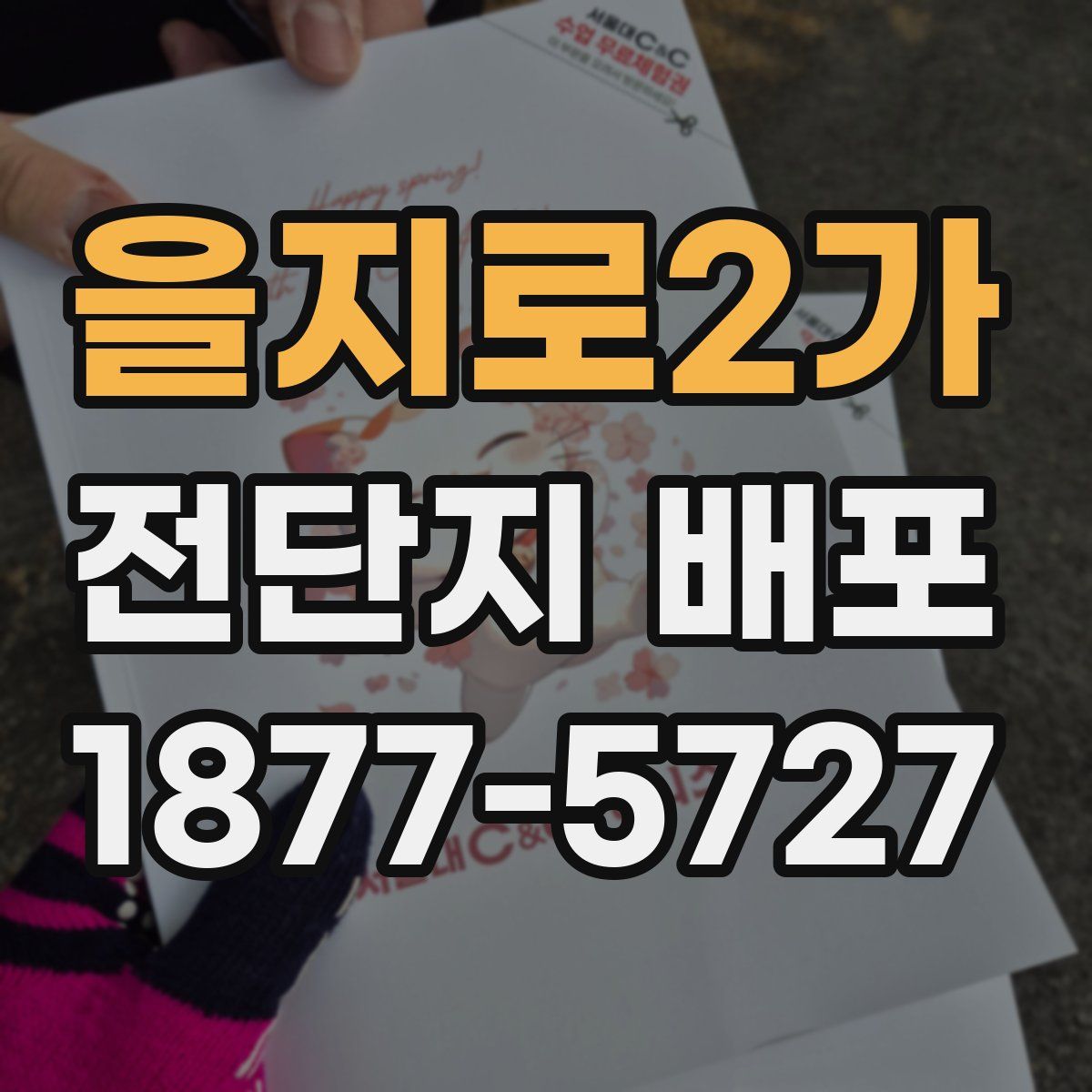 을지로2가 전단지 배포