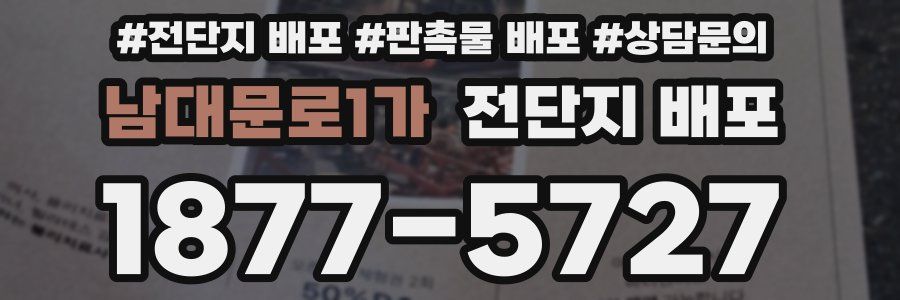 남대문로1가 전단지 배포