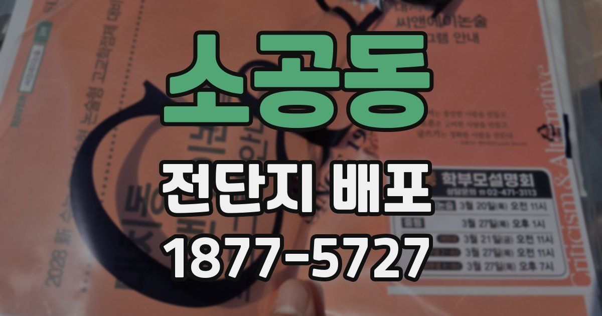 소공동 전단지 배포