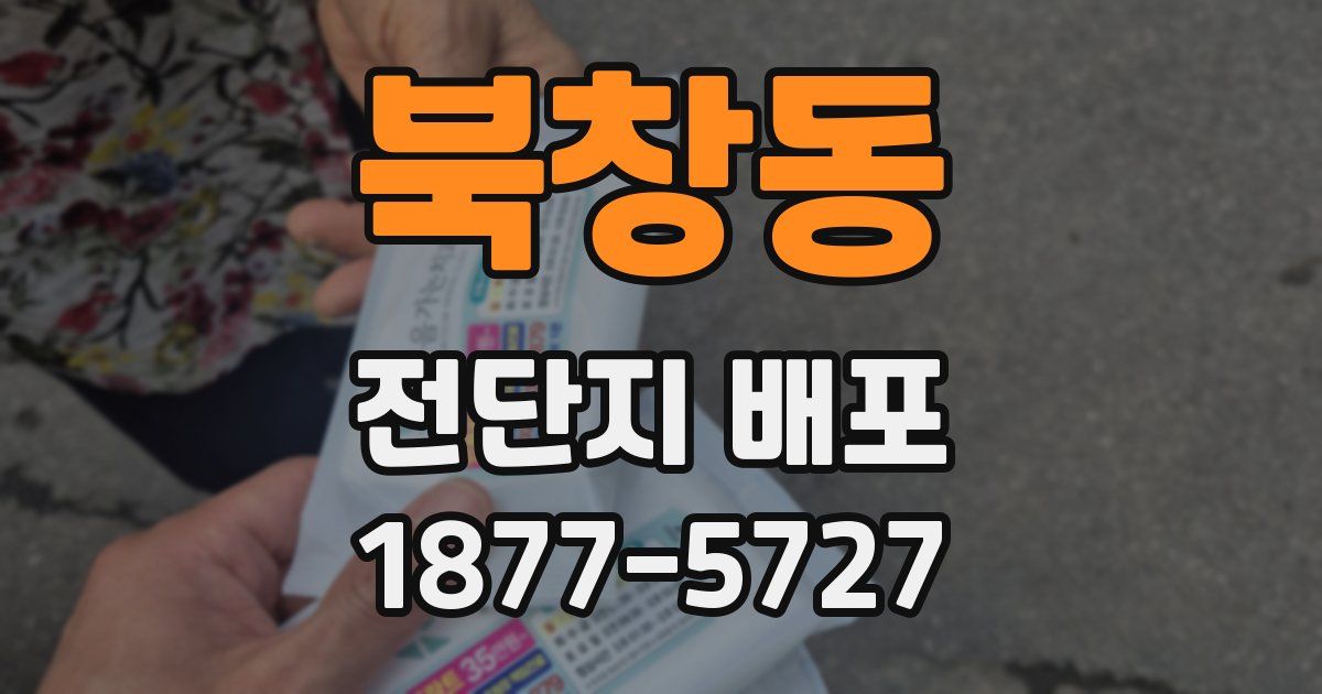 북창동 전단지 배포