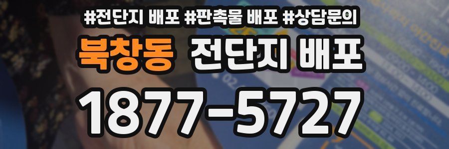 북창동 전단지 배포
