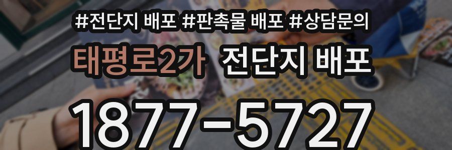 태평로2가 전단지 배포