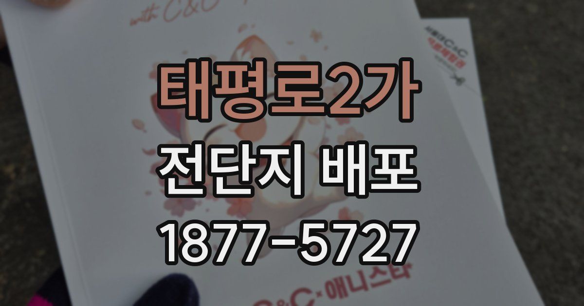 태평로2가 전단지 배포