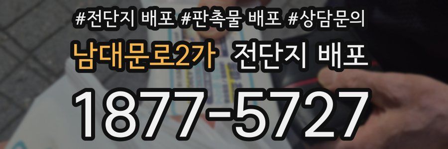 남대문로2가 전단지 배포