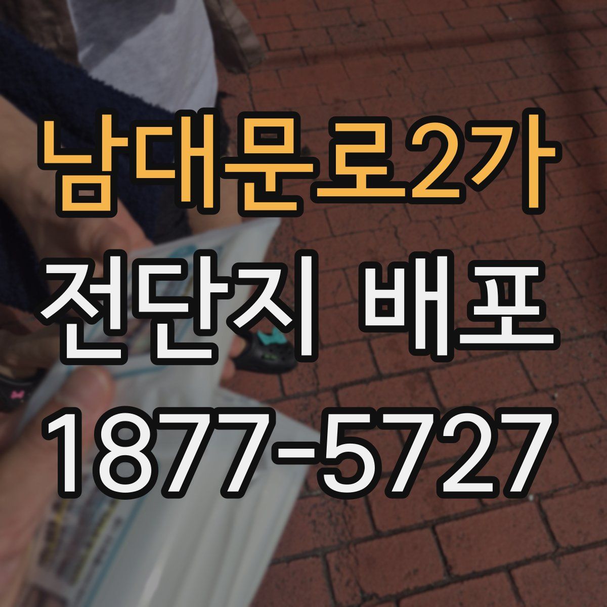 남대문로2가 전단지 배포