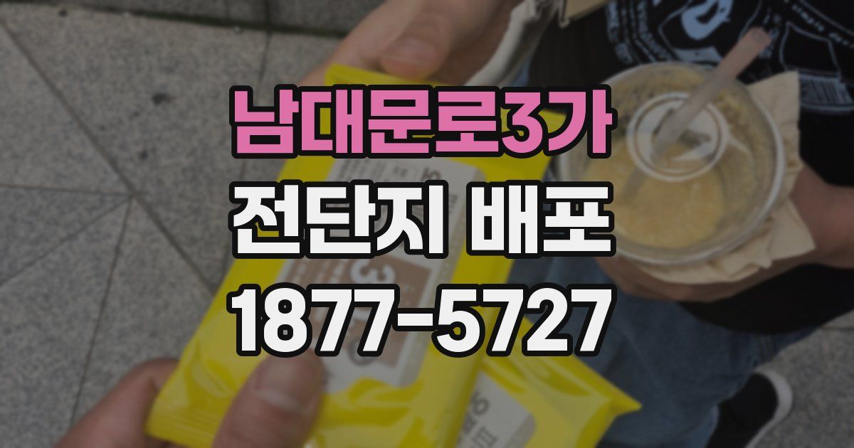 남대문로3가 전단지 배포