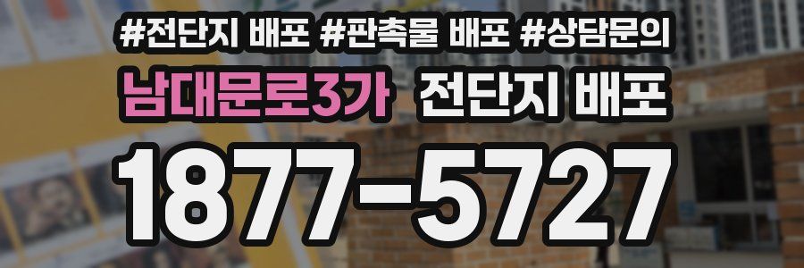 남대문로3가 전단지 배포