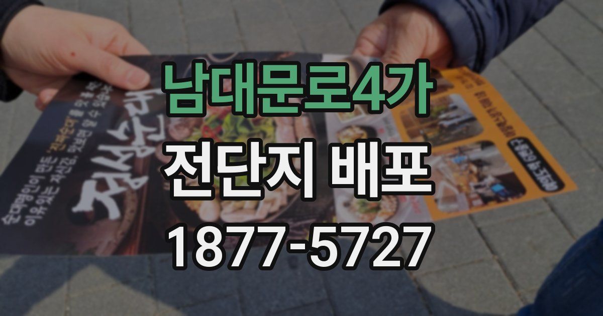 남대문로4가 전단지 배포