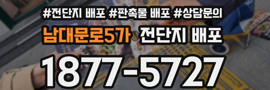 남대문로5가 전단지 배포