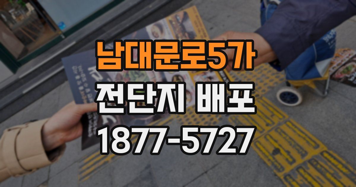 남대문로5가 전단지 배포