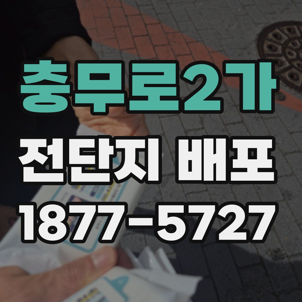 충무로2가 전단지 배포