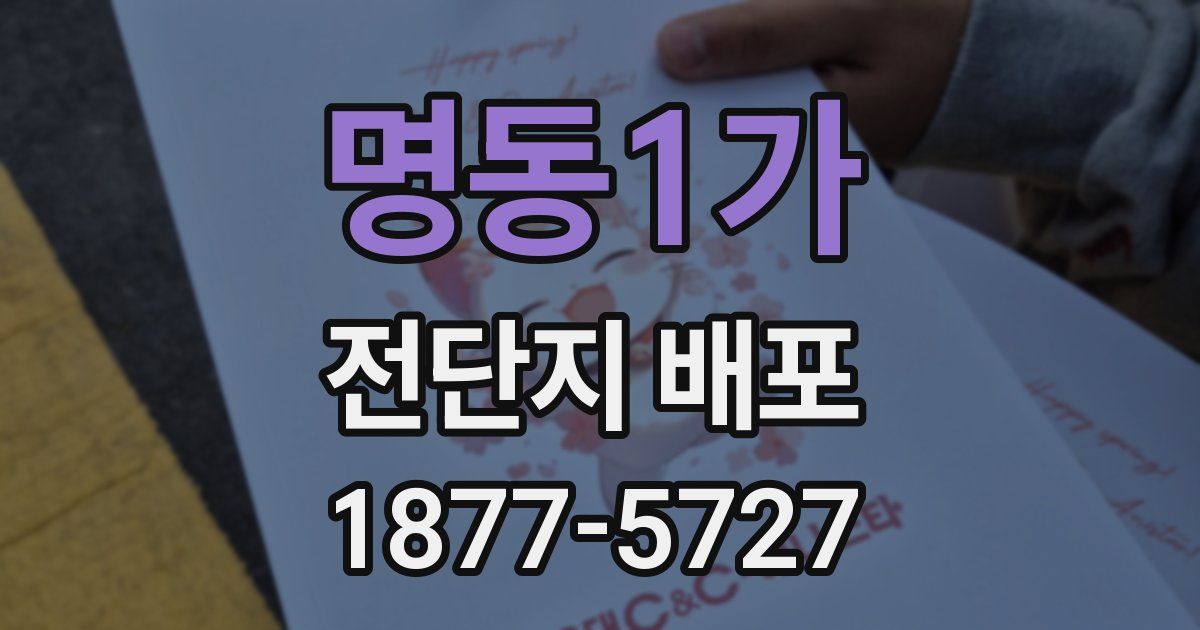 명동1가 전단지 배포
