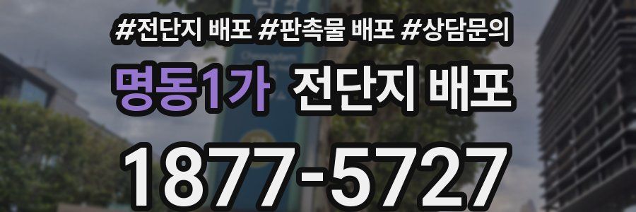 명동1가 전단지 배포