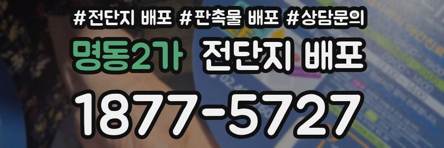 명동2가 전단지 배포