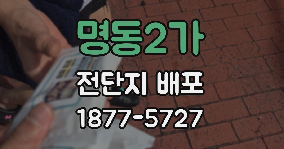 명동2가 전단지 배포