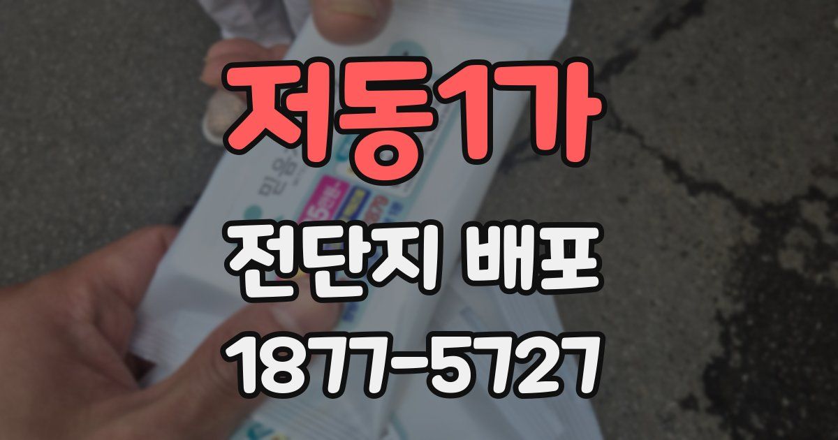 저동1가 전단지 배포