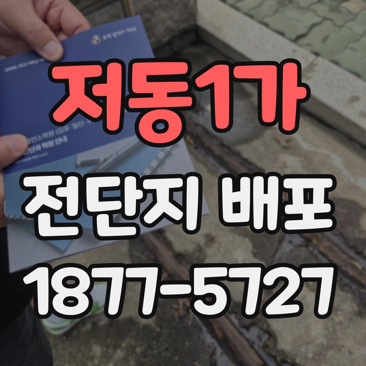 저동1가 전단지 배포