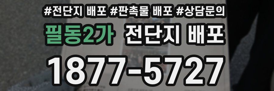 필동2가 전단지 배포