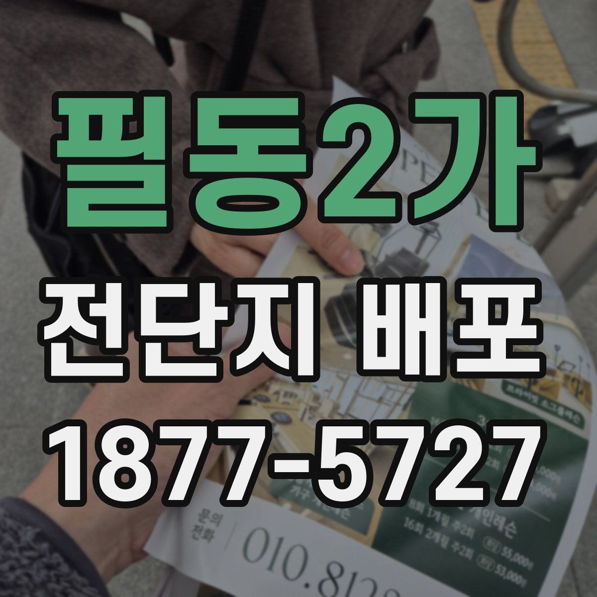 필동2가 전단지 배포