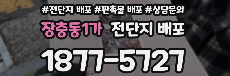 장충동1가 전단지 배포