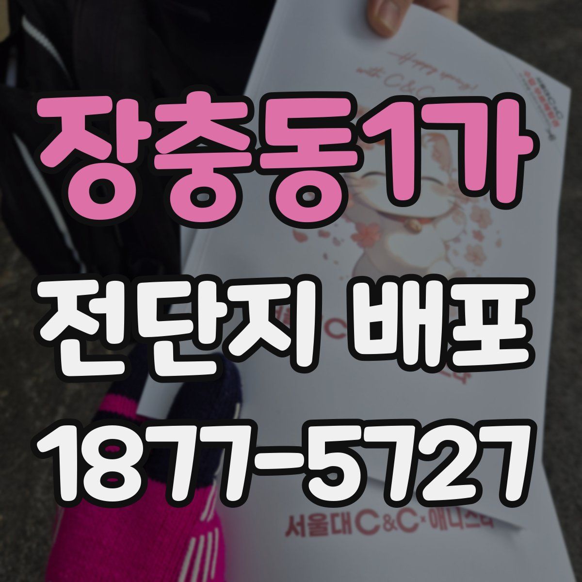 장충동1가 전단지 배포