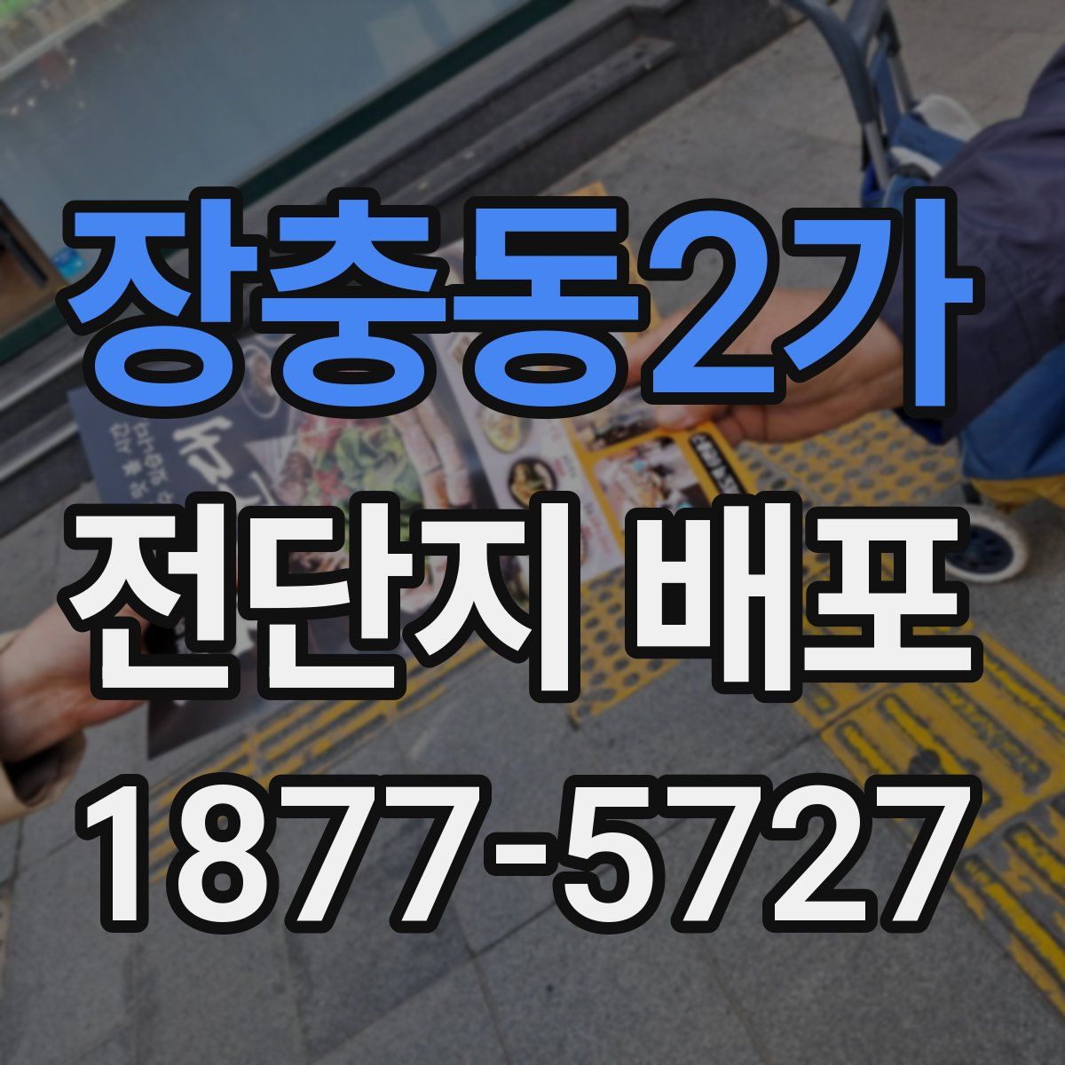 장충동2가 전단지 배포