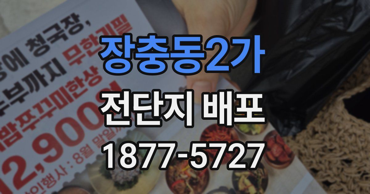 장충동2가 전단지 배포