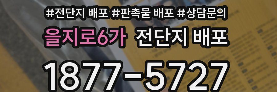 을지로6가 전단지 배포