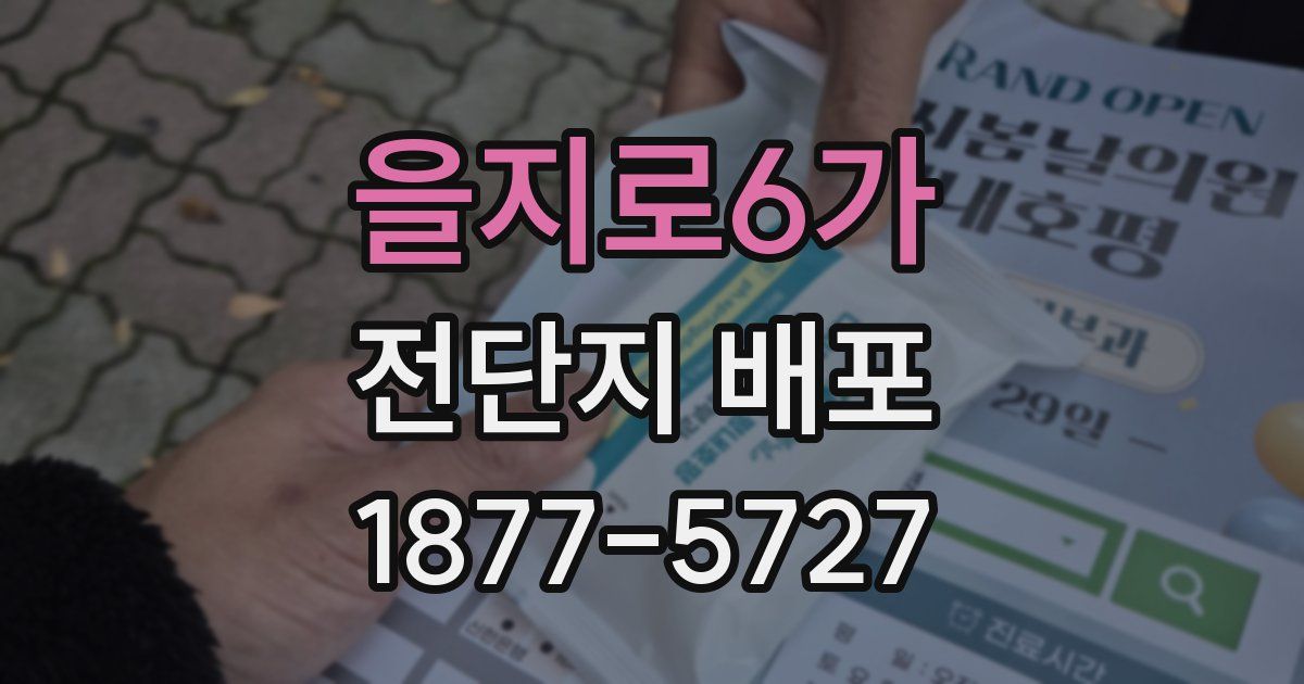 을지로6가 전단지 배포