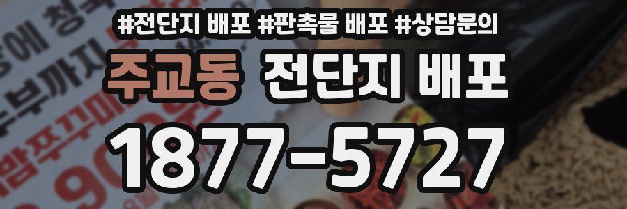 주교동 전단지 배포