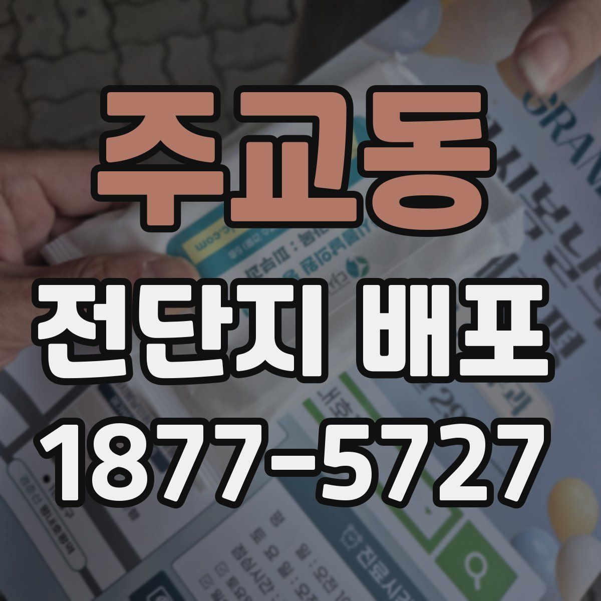 주교동 전단지 배포