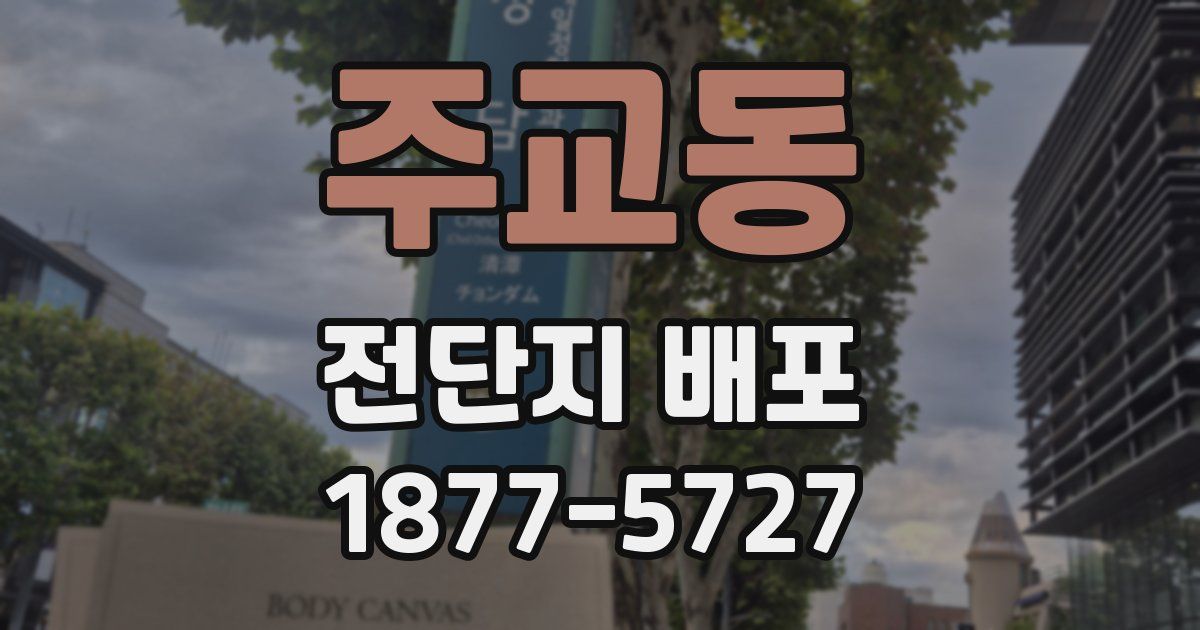 주교동 전단지 배포