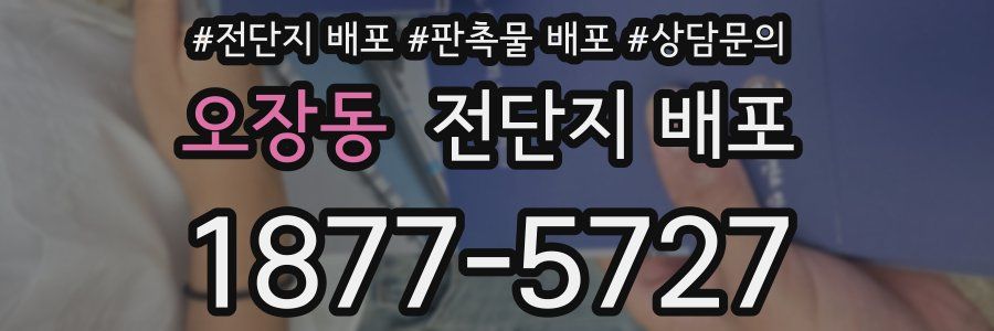 오장동 전단지 배포