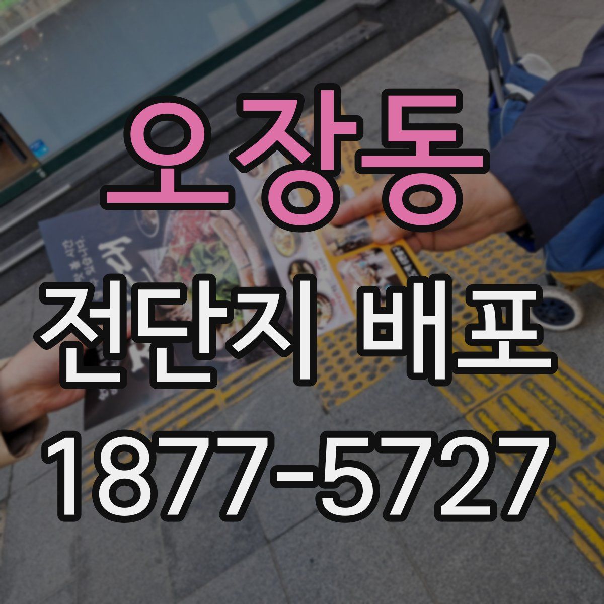 오장동 전단지 배포