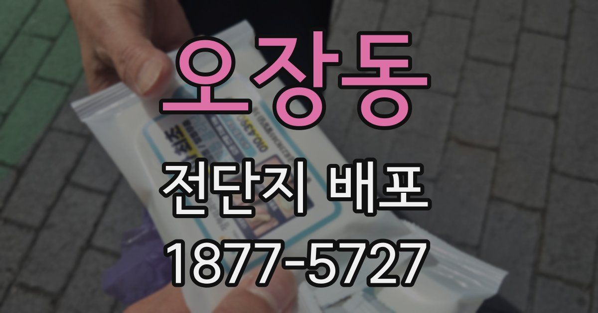 오장동 전단지 배포