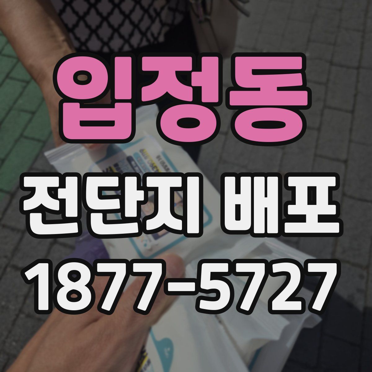 입정동 전단지 배포