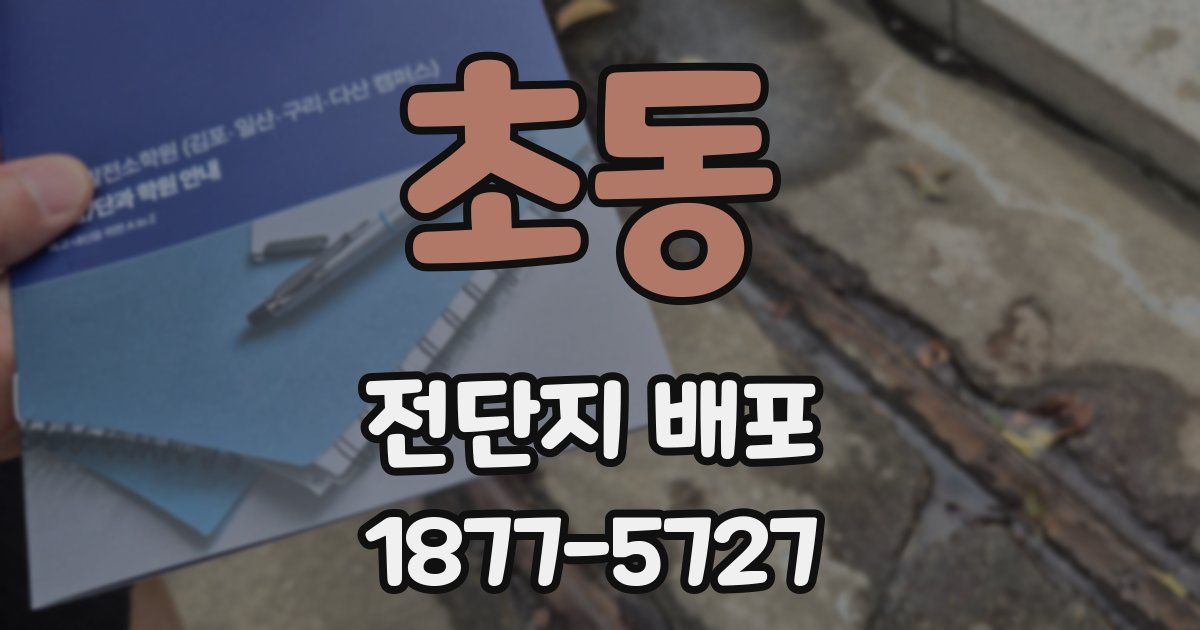 초동 전단지 배포