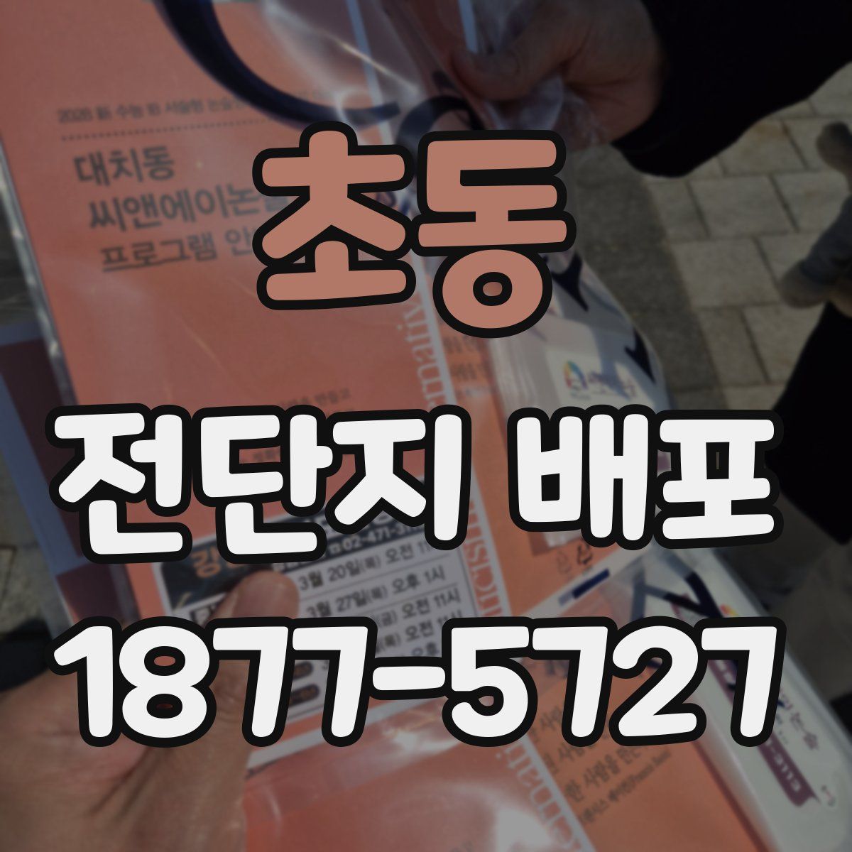 초동 전단지 배포