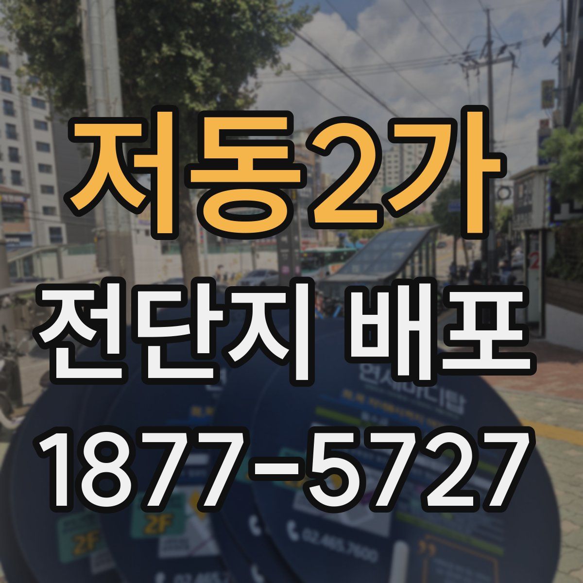 저동2가 전단지 배포