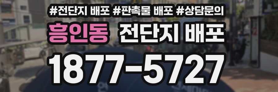 흥인동 전단지 배포