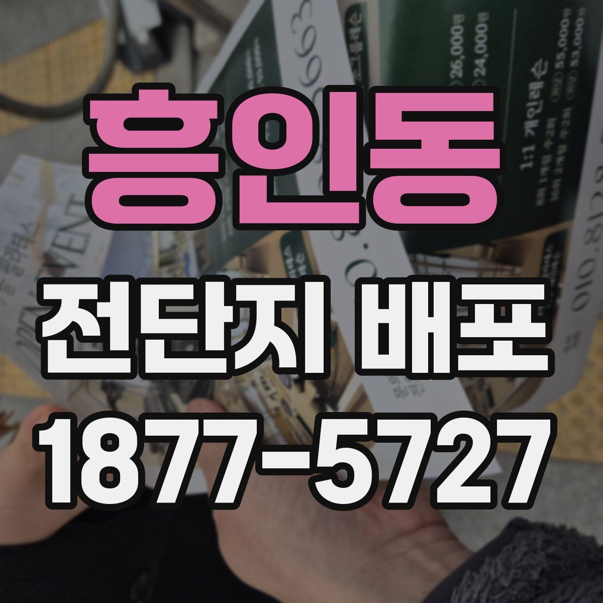 흥인동 전단지 배포